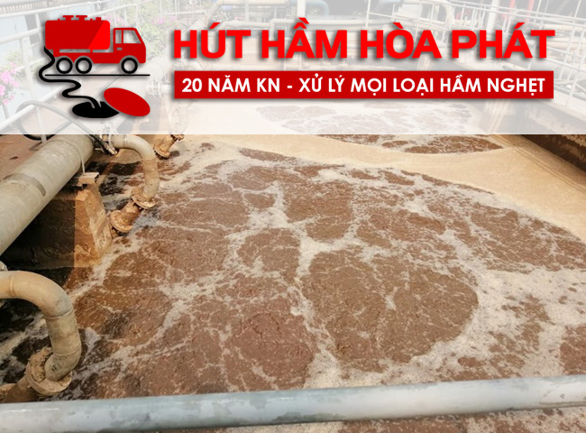 Cung cấp và vận chuyển bùn vi sinh tại Cam Ranh Cam Lâm